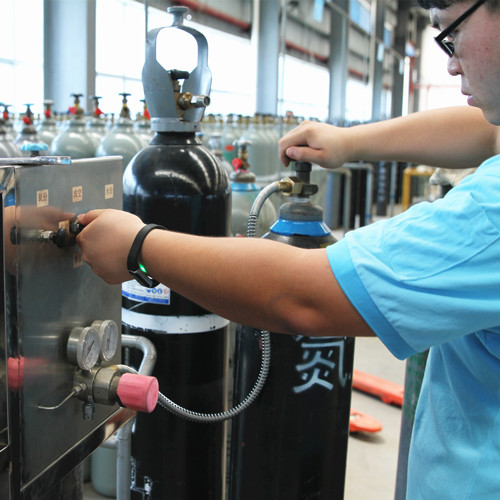 專業(yè)技術(shù)人員檢驗、檢測氣體